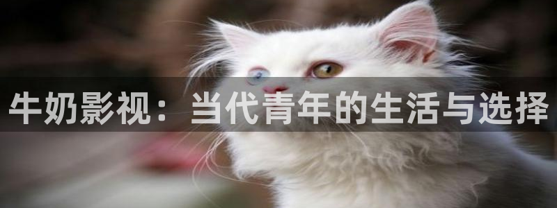 小小影视网：牛奶影视：当代青年的生活与选择