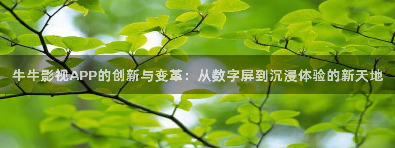 小小影视热门电视剧有哪些：牛牛影视APP的创新与变革：从数字屏到沉浸体验的新天地