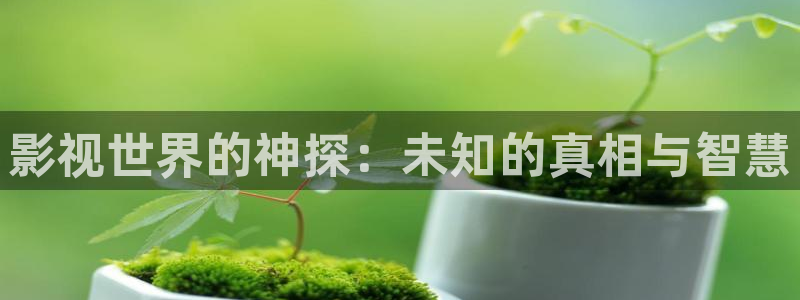 小小影视官网最新版本：影视世界的神探：未知的真相与智慧