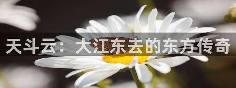 小小影视热门电视剧有哪些：天斗云：大江东去的东方传奇