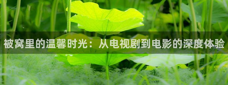 小小影视剧场：被窝里的温馨时光：从电视剧到电影的深度体验