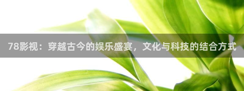 小小影视2024：78影视：穿越古今的娱乐盛宴，文化与科技的结合方式