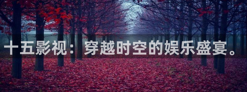小小影视ios：十五影视：穿越时空的娱乐盛宴。