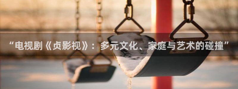 www.小小影视：“电视剧《贞影视》：多元文化、家庭与艺术的碰撞”