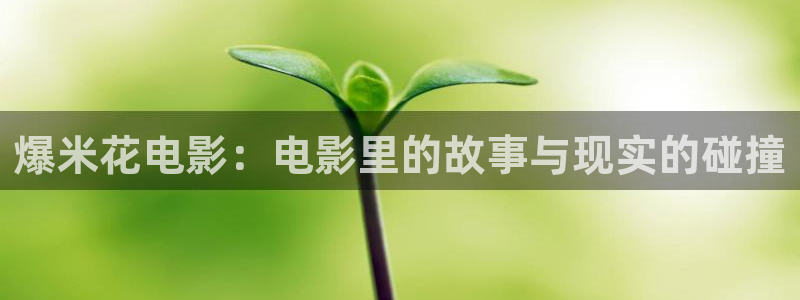 小小影院在线观看免费播放电视剧大全：爆米花电影：电影里的故事与现实的碰撞