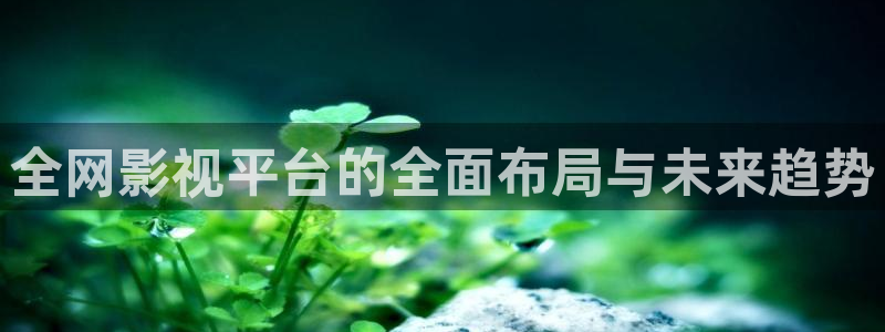 小小影院大全在线观看电视剧免费：全网影视平台的全面布局与未来趋势