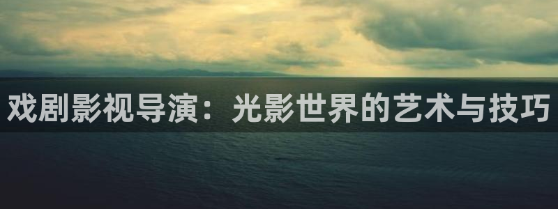 小小影院app安装：戏剧影视导演：光影世界的艺术与技巧